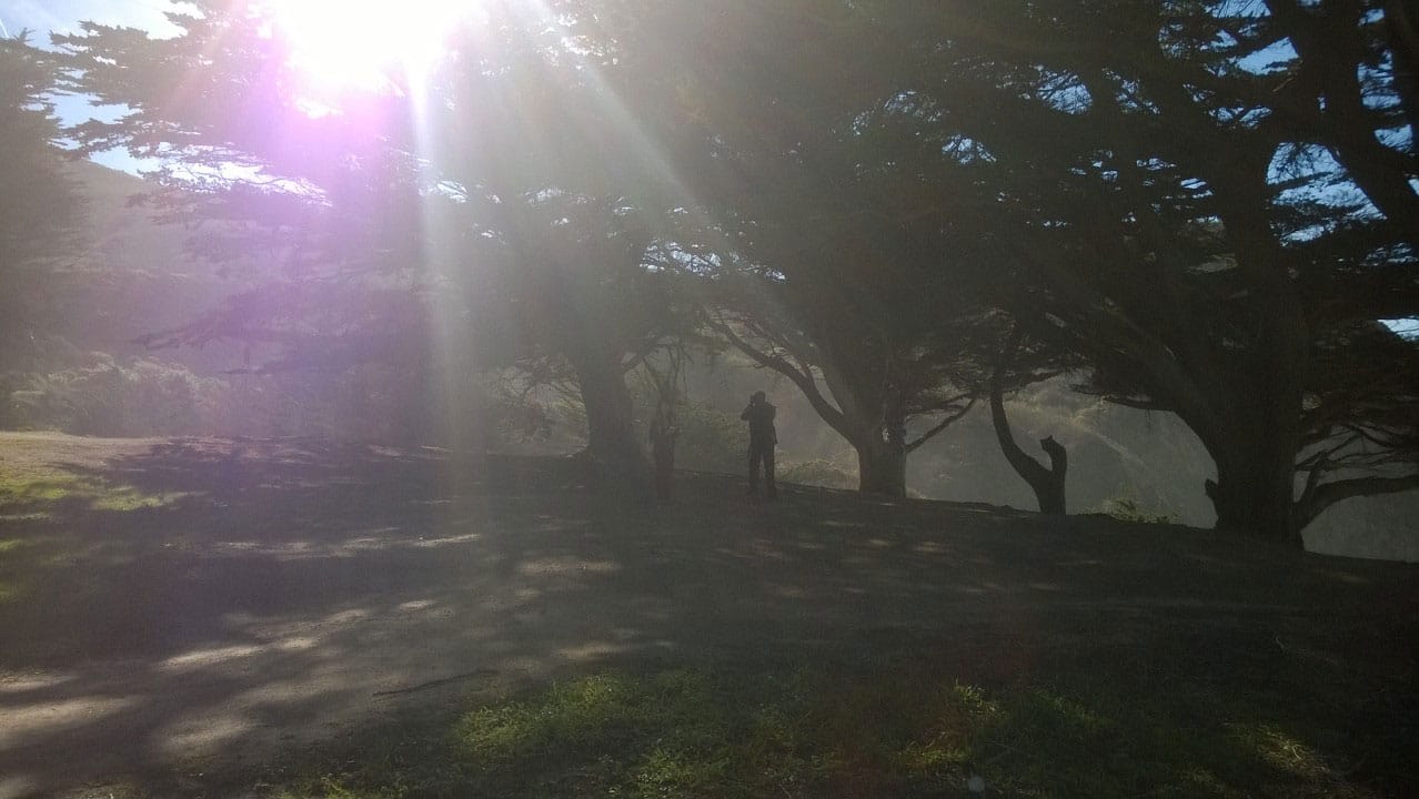 Sunshine flitting through the trees with two figures in shadows