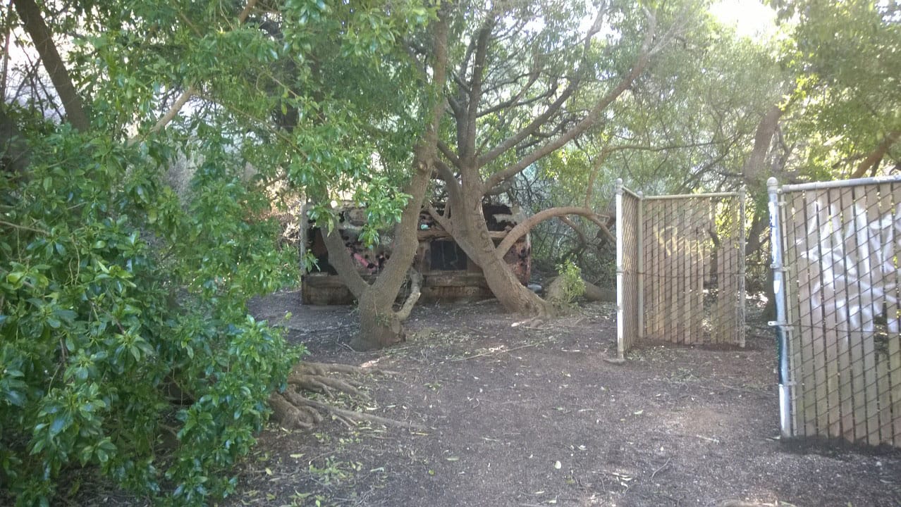 Creepy ruined structures among the trees